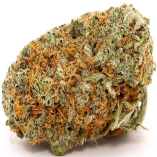girl scout cookies strain indica dominant hybrid