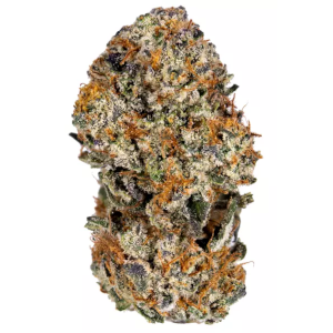 Tangie Sativa Dominant Hybrid cannabis strain