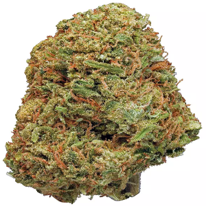 Northern Lights Indica cannabis strain