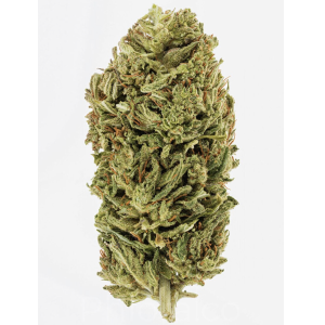 Pineberry High CBD cannabis strain